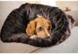 3-in-1 Snuggle Beds for Dogs - Burrow Bed / Mat / Bolster Bed